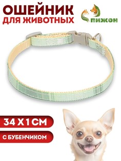 Ошейник Пижон