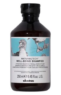 Увлажняющий шампунь для всех типов волос Well Being (250ml) Davines