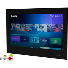 LED Телевизор AVEL AVS435SMBF