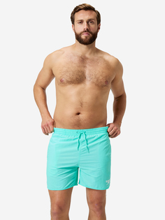 Шорты плавательные мужские Speedo Essentials, Голубой
