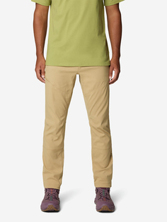 Брюки мужские Mountain Hardwear Ap Active Pant, Коричневый