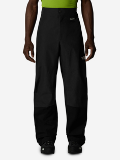Брюки мужские The North Face Jazzi Gtx, Серый