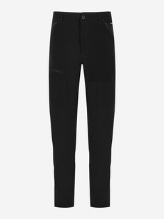 Брюки мужские The North Face Speedlight, Черный