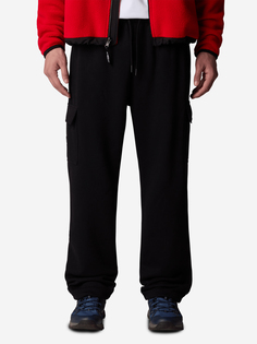 Брюки мужские The North Face Cargo Jogger, Черный