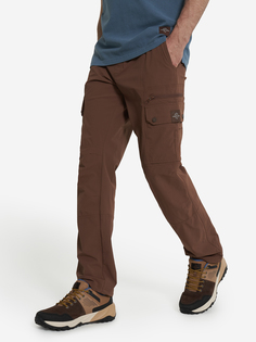 Брюки мужские Cordillero, Коричневый