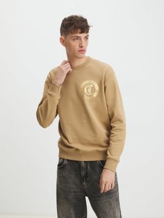 Худи и свитшоты Just Cavalli