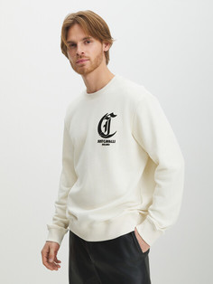 Худи и свитшоты Just Cavalli