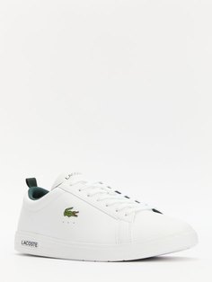 Кроссовки и кеды Lacoste