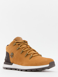 Кроссовки и кеды Timberland