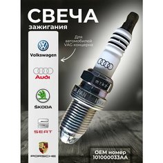 Свеча зажигания подходит для автомобилей VAG концерна: Audi, Seat, Skoda, Volkswagen, Porsche OEM номер 101000033AA
