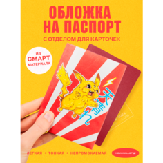 Обложка для паспорта New Wallet, разноцветный