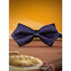 Бабочка 2beMan, бордовый, синий