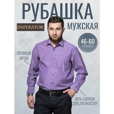 Рубашка Imperator Smart 4, размер 39 ворот/46RU/170-178, фиолетовый