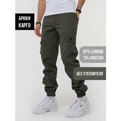 Брюки карго Город Горький, размер 54-188, оливковый