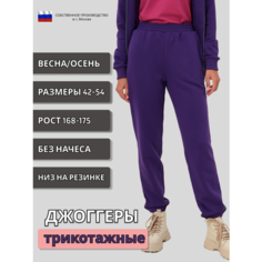 Брюки джоггеры MOM №1, размер L, фиолетовый
