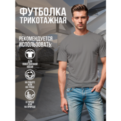 Футболка АнтАлекс, размер (54)2XL, серый