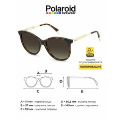 Солнцезащитные очки Polaroid, коричневый