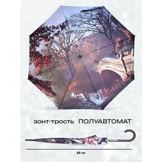 Зонт-трость ZEST, бордовый/синий