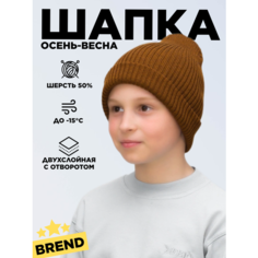 Шапка бини LanaCaps Ниса для мальчиков, размер 52-56, светло-коричневый