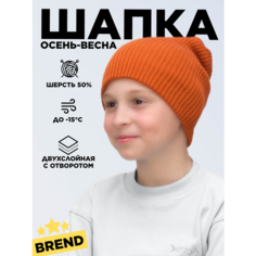 Шапка бини LanaCaps Ниса для мальчиков, размер 52-56, оранжевый