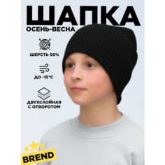 Шапка бини LanaCaps Ниса для мальчиков, размер 52-56, черный