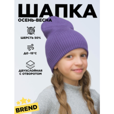 Шапка бини LanaCaps Ниса для девочек, размер 52-56, фиолетовый