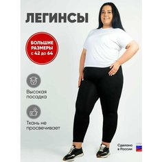 Брюки спортивные Спорт, размер 56, черный/черный Нет бренда