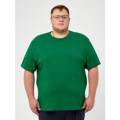 Футболка StarkCotton, размер 5XL, светло-зеленый