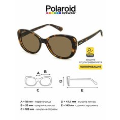 Солнцезащитные очки Polaroid, коричневый