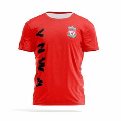 Футболка PANiN Brand, размер XL, черный