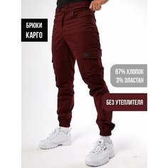 Брюки Город Горький, размер 52/188, бордовый