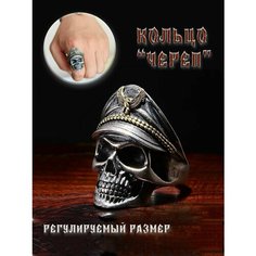 Кольцо, безразмерное, серебристый Нет бренда