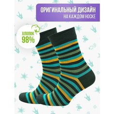 Носки Big Bang Socks полоски, размер 35-39, зеленый