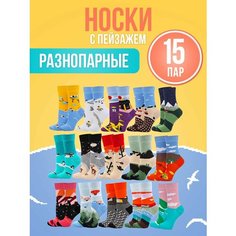 Носки Big Bang Socks разнопарные, комплект, 15 пар, размер 40-44, мультиколор