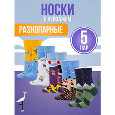 Носки Big Bang Socks разнопарные, комплект, 5 пар, размер 40-44, мультиколор