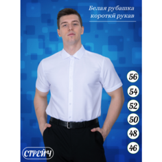 Рубашка Palmary Leading, размер S\46, белый