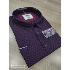 Рубашка Tonelli, размер 10XL, фиолетовый