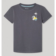 Футболка Pepe Jeans PB503841, размер 12 лет, серый
