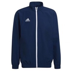 Олимпийка adidas Adidas Entrada22, размер L, , темно-синий