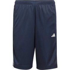 Шорты adidas, размер 152, синий