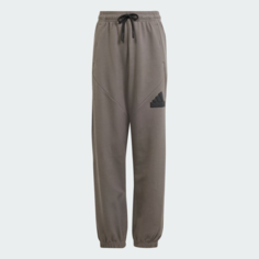 Брюки adidas Future Icons, размер 152, charcoal/black