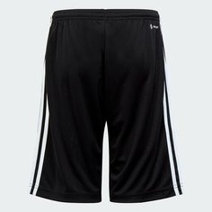 Шорты adidas Train Essentials Aeroready, размер 152, черный