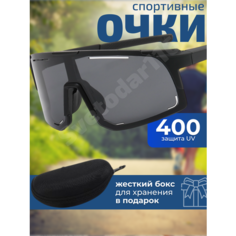 Солнцезащитные очки SVETODAR116, черные