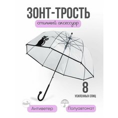 Зонт-трость , черный/прозрачный Ra Infall & Ra Inbow