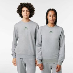 Свитшот LACOSTE, размер XL, , серый