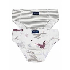 Комплект нижнего белья Андерсен, размер 110, серый, белый