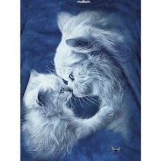 Футболка KRASAR КОТИКИ, размер 3XL (58 см.), голубой