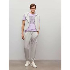 Брюки спортивные JUST CLOTHES, размер 48, серый