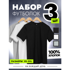 Футболка, 3 шт., размер S, черный, белый, серый King Cott