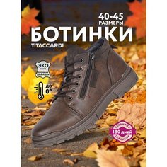 Ботинки T.Taccardi, размер 42, коричневый